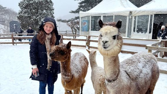 Salida desde Seúl: Isla Nami + Valle de Cheongpyeongsa + Mundo Alpaca + Jardín Botánico de Seúl