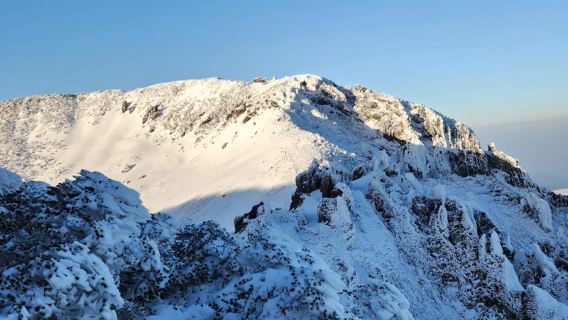 濟州島西南線一日遊漢拿山線-小羊-山茶花-柱狀