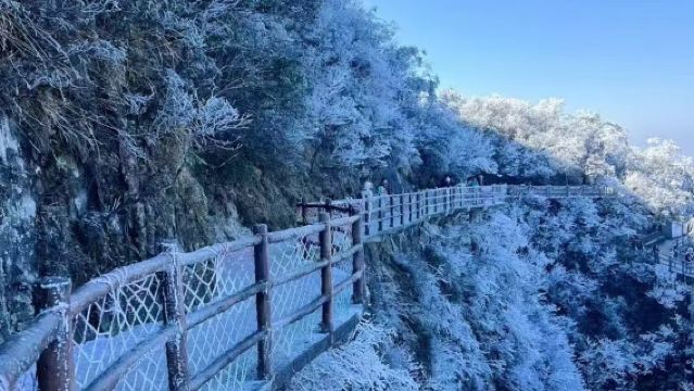 郴州·莽山五指峰景區一日遊【精緻小團上門接送純玩自由行包車】