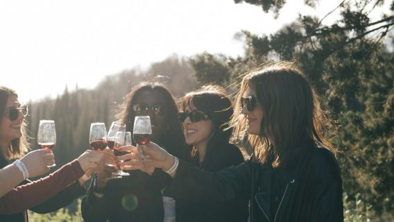 Chianti: Geleide Wijnrondleiding vanuit Florence + Proeverij