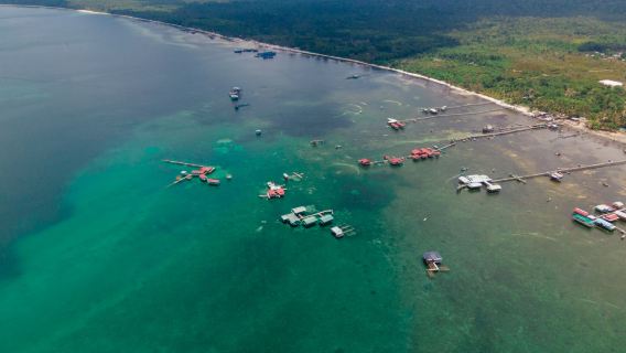 북부 관광 – 카약 – 스타피시 비치 – 국립공원 – 그랜드 월드