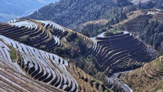 Longji Rice Terraces Immersion: Jinkeng's Ancient Escarpments & Village Life