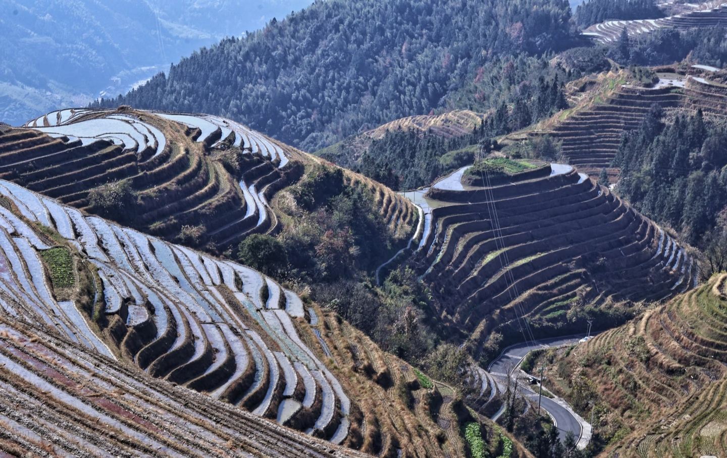 Longji Rice Terraces Immersion: Jinkeng's Ancient Escarpments & Village Life