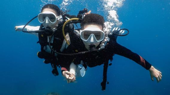 陵水海南雙帆石潛水中心體驗潛水水肺潛水2小時【【陵水雙帆石潛水】遠海深潛 新手可玩 專業教練一對一】