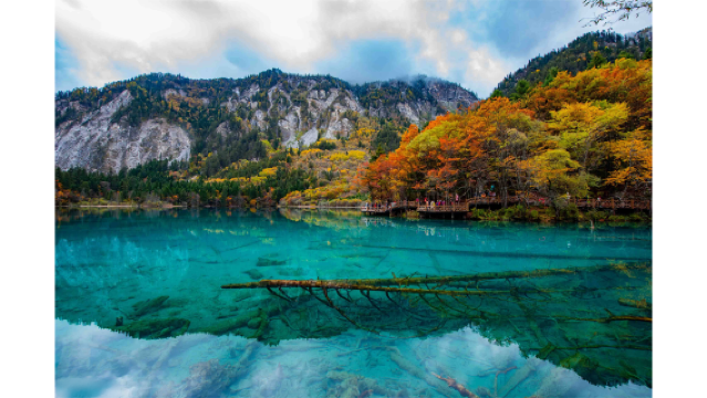 Lawatan Sehari ke Taman Negara Jiuzhaigou [Bas Ulang-Alik Perniagaan 2-8 Orang/Songpan/Jiuzhaigou Huanglong]
