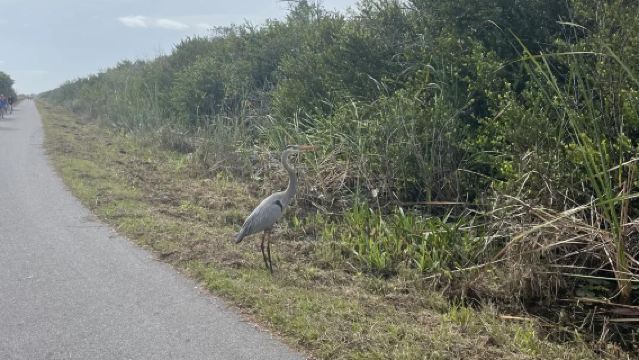 美國邁阿密-第八區-海灣公園-溫尼伍德牆-包車私享