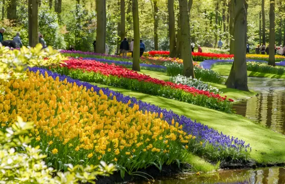 荷蘭庫肯霍夫鬱金香展門票+MG設計師名品折扣村購物套票