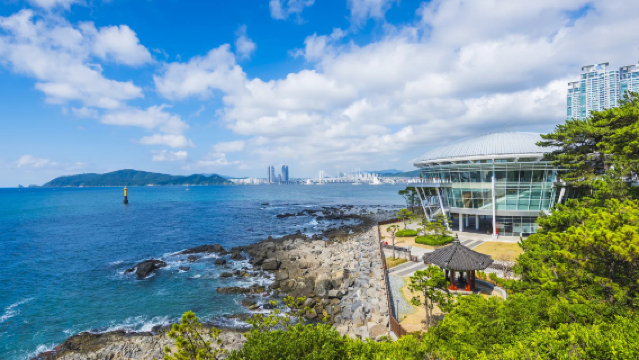 [Sewaan Peribadi Berbahasa Cina di Busan] Taman Dongbaek + Litar Luncur Cerun Skyline + Menara Busan + Muzium Filem