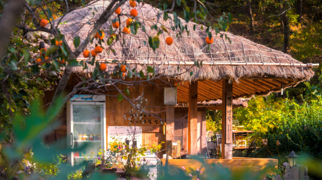 【釜山-慶州四季之旅】佛國寺+良洞村+大陵苑+東宮和月池