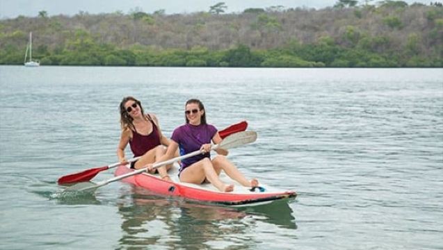 West Bali National Park Mangrove Kayaking Tour -  Wildlife & Nature Experience