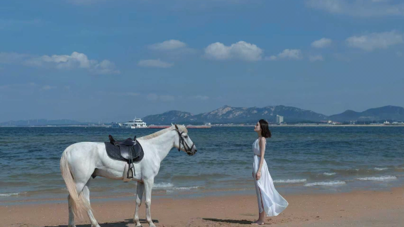 養馬島Trip Moments、騎馬、環島一日遊