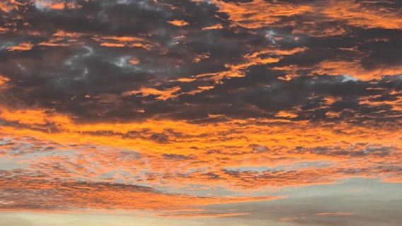 馬來亞庇：旅遊地陪導遊|商務陪同拜訪|展會翻譯| 自由行地接| 行程規劃訂製