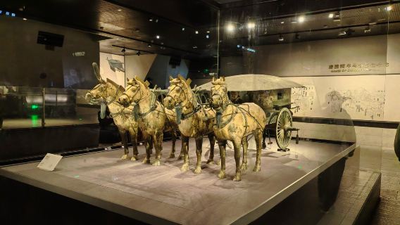 Museu do Mausoléu do Imperador Qin Shihuang (Guerreiros de Terracota) + Carruagens de Bronze + Almoço - Passeio de 1 dia em grupo premium para 8 pessoas em Xiam