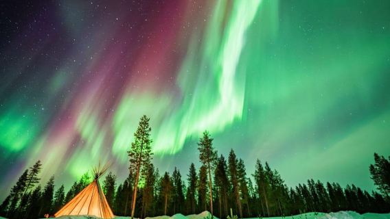 Rovaniemi: Gegarandeerde Noorderlichtfotoreis
