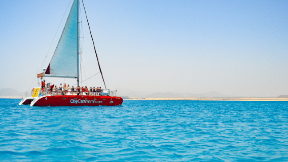 Lobos Island: 4-Hour Catamaran Trip with Lunch