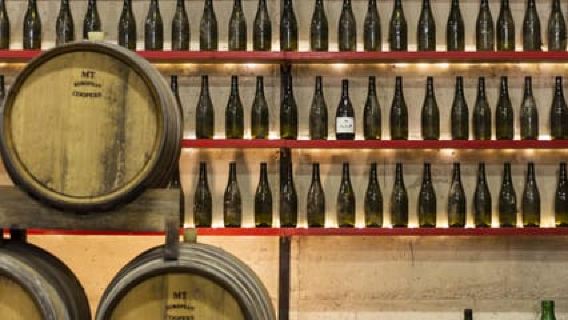 Offida: Tasting itinerary of Rosso Piceno DOC Superiore