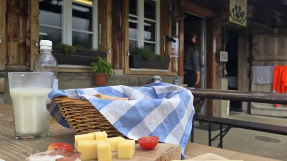 From Zurich: Scenic Lake Lucerne & Local Cheese Tasting Private Day Tour
