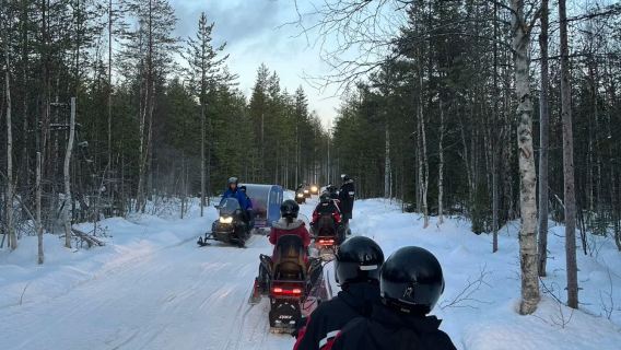 Rovaniemi Schneemobil und Tiere Tagesausflug