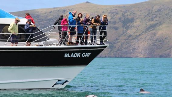 Akaroa