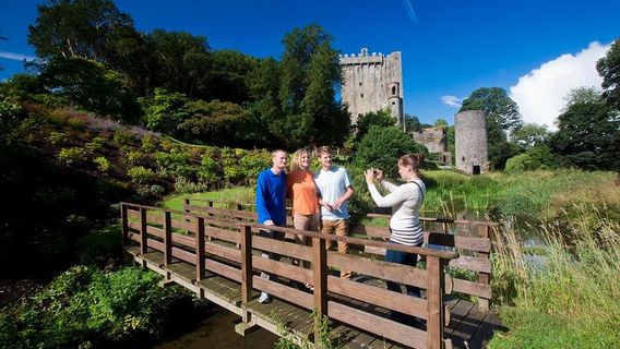 CorkTours