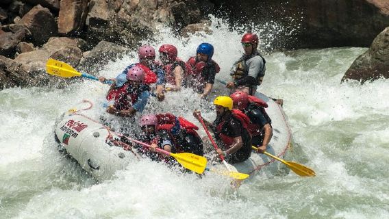 Day Rafting in Rishikesh - 26km