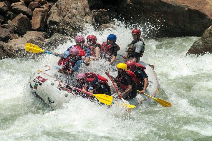 Day Rafting in Rishikesh - 26km