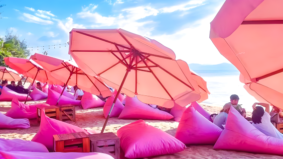 Pattaya Koh Larn Surfing Adventure [Pink Beach|Internet-famous swan|Wide variety of water activities