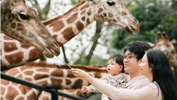 廣州Trip Moments【廣州Trip Moments廣州長隆野生動物園跟拍+底片全送精修調色+無人數限制】