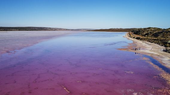 Volo panoramico di 45 minuti sul Lago Rosa nell'Australia Occidentale (partenza da Kalbarri)