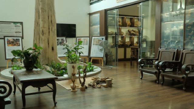 ทัวร์ครึ่งวันน้ำมันหอมระเหยเวียดนามพร้อมอาหารเจ