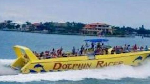 Area St. Pete Beach: Petualangan Perahu Cepat Dolphin Racer