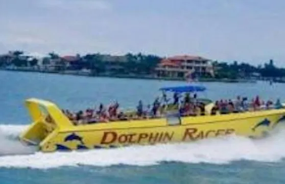 聖彼德斯堡海灘區：海豚競速快艇探險 (Dolphin Racer Speedboat Adventure)