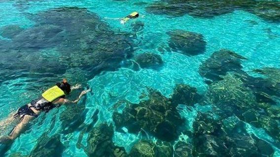 กระบี่วันเดย์เกาะรอก & เกาะห้า จากอ่าวนาง