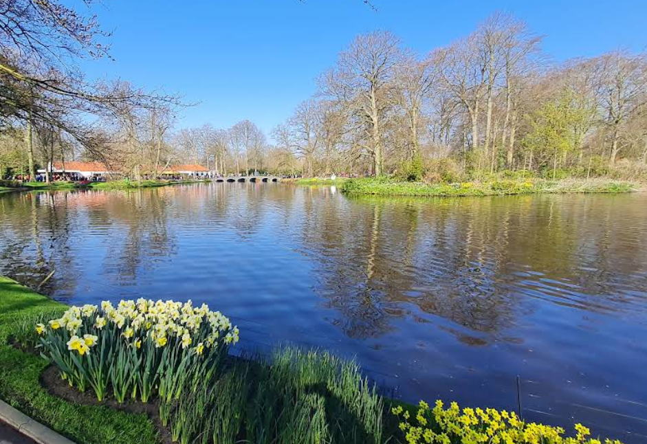 荷蘭庫莫瑞泰斯皇家美術館+和平宮+席凡寧根海灘一日遊