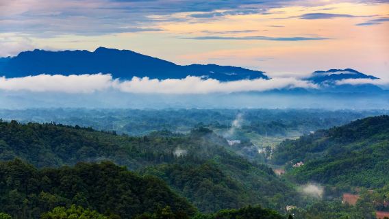 Depart from Chengdu: Ya'an one-day tour attractions can be customized|One order group|private charter multilingual guide C