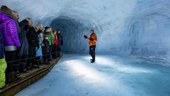 ReykjavikTours
