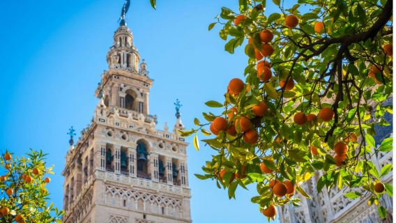 Royal Alcázar of Seville, Cathedral & Giralda: Entry + Guided Tour