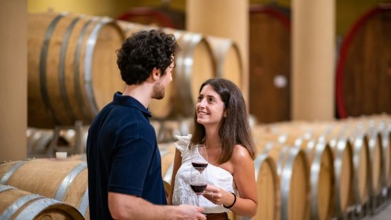 Montepulciano: Wine Tasting Tour at Two Wineries