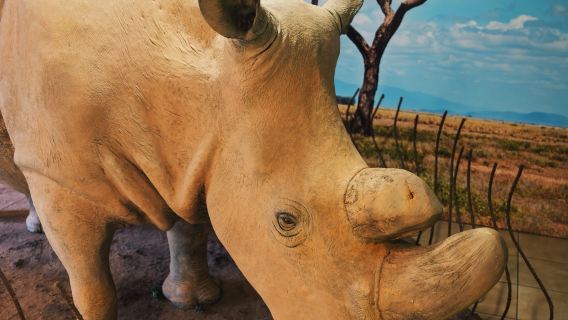 Bomas of Kenya Kulturzentrum + Giraffenzentrum + Nationalmuseum von Kenia / flexibler Reiseplan