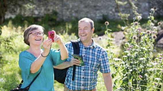 CorkTours