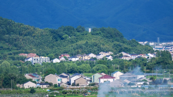 YuyaoTravel Services