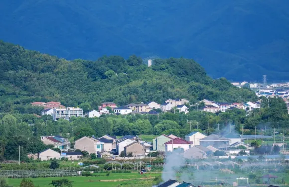 深度解說/持證嚮導