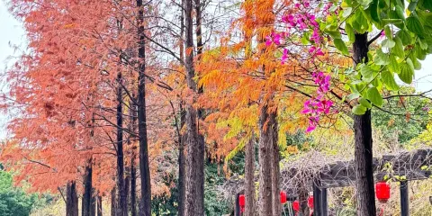 私家團上門接送+東莞可園+南社明清古村落+松山湖公園1天遊