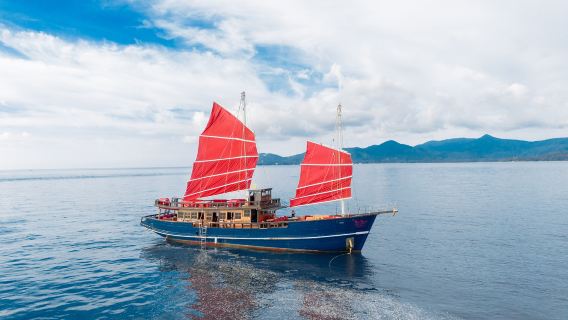 Crociera di un giorno da Koh Samui al Parco Marino di Angthong sulla barca Red Baron