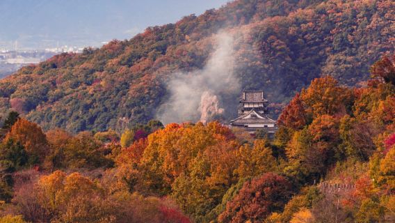 Excursion d'une journée pour admirer les érables et profiter de la vue panoramique|Nagoya - Château d'Inuyama - Gorge d'Ena - Relais de poste de Magome - Relais de poste de Tsumago