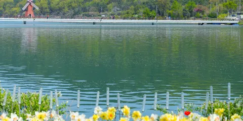 韓國|海濱列車+SEA LIFE釜山水族館+八公山纜車+松海公園|海景列車・四季花海|釜山出發・專業中英導遊隨行