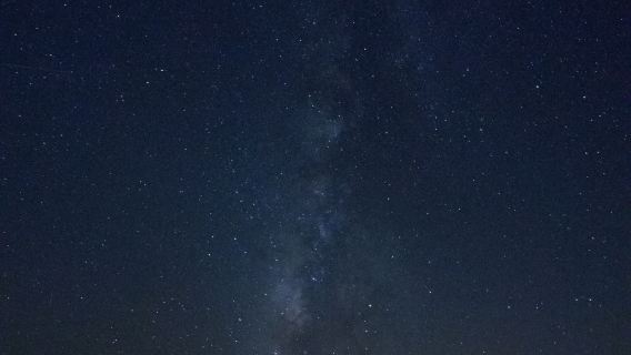 Tur Safari dan Pengamatan Bintang di Gurun Laut Merah Mesir, Tur Setengah Hari Safari Jeep dan Pengamatan Bintang di Gurun Laut Merah, Suku Unta