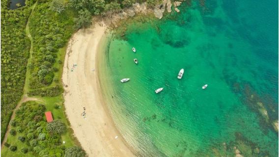 Tagestour zur neuseeländischen Insel Rotoroa|Beinhaltet eine 75-minütige Kreuzfahrt ab Auckland
