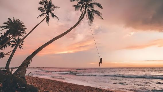 Sri Lanka|Città vecchia di Galle + Safari in crociera nella foresta di mangrovie + altalena virale|noleggio con conducente esclusivo&