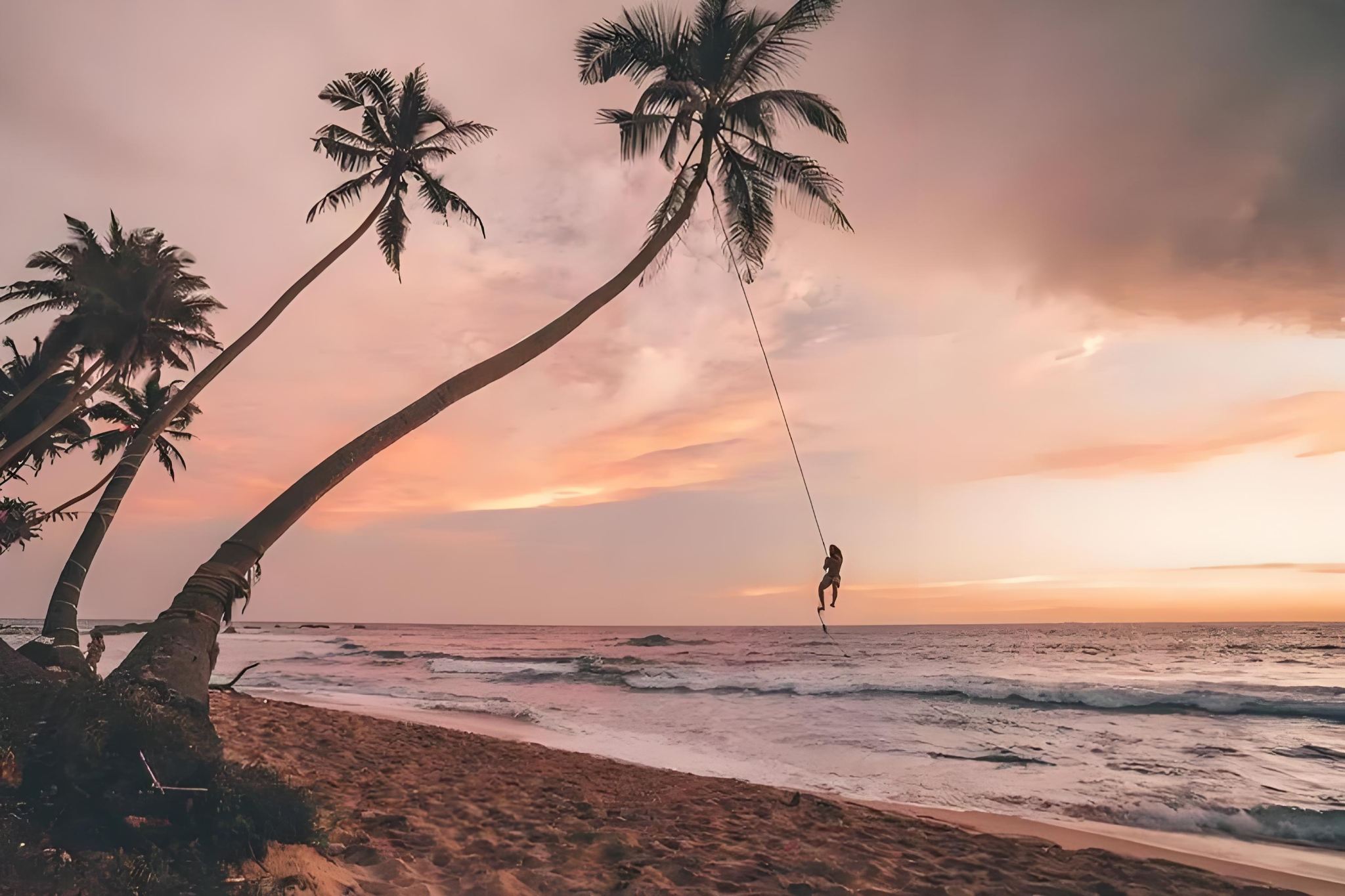 Sri Lanka|Città vecchia di Galle + Safari in crociera nella foresta di mangrovie + altalena virale|noleggio con conducente esclusivo&